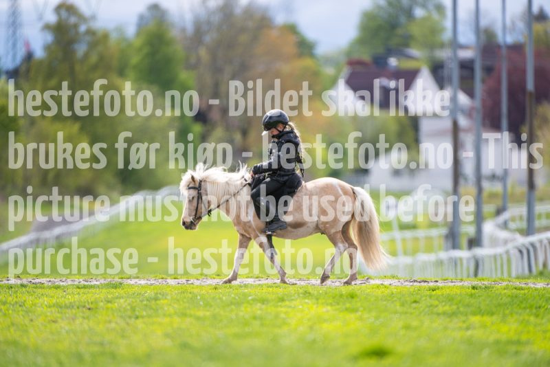 20260516-142123-DSC_7550