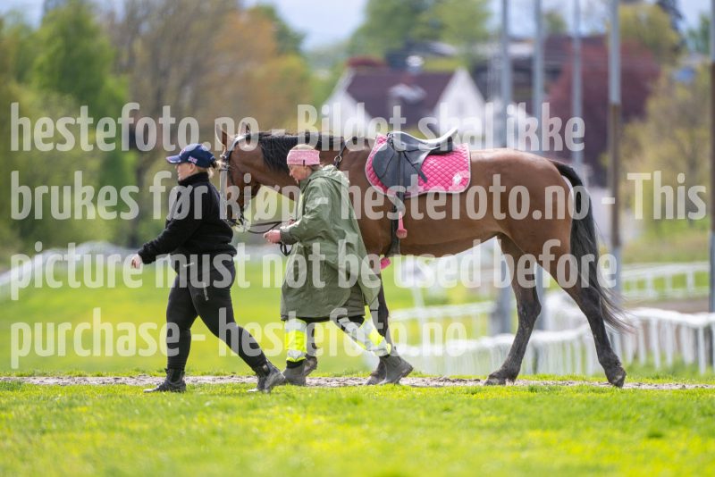 20260516-142134-DSC_7592
