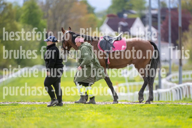 20260516-142135-DSC_7597
