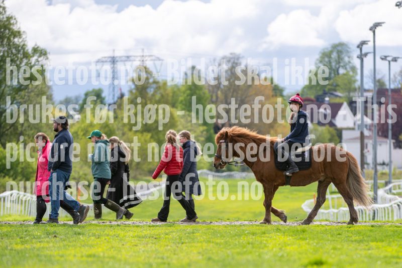 20260516-142146-DSC_7658