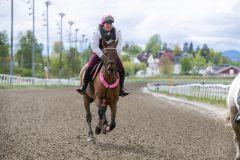 20260516-134050-DSC_6567
