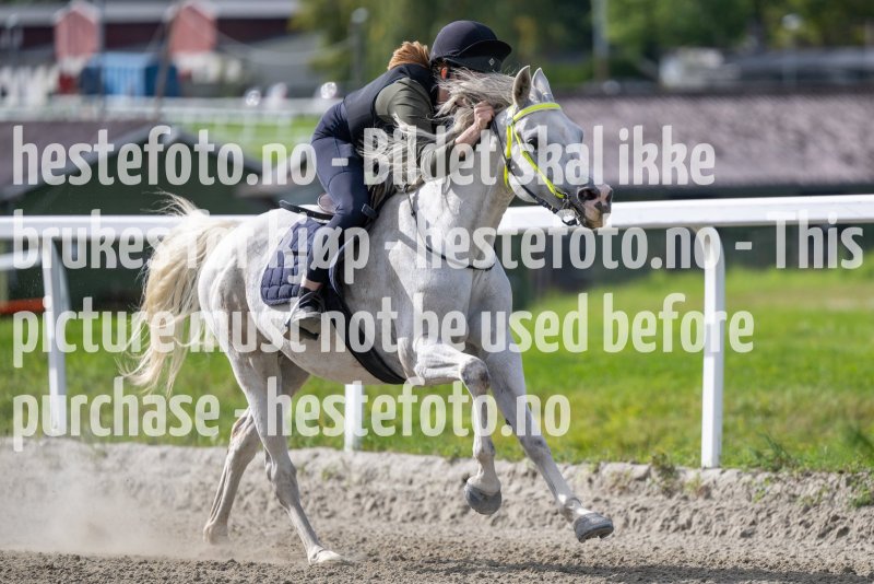 20220917-135241-DSC_4819