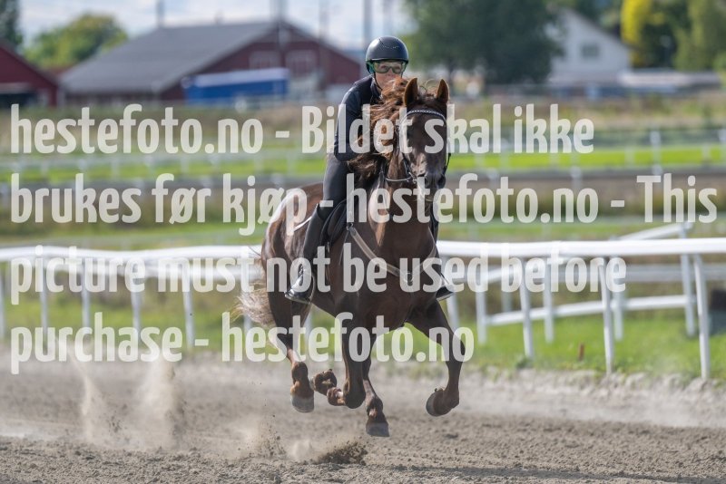 20220917-135247-DSC_4852
