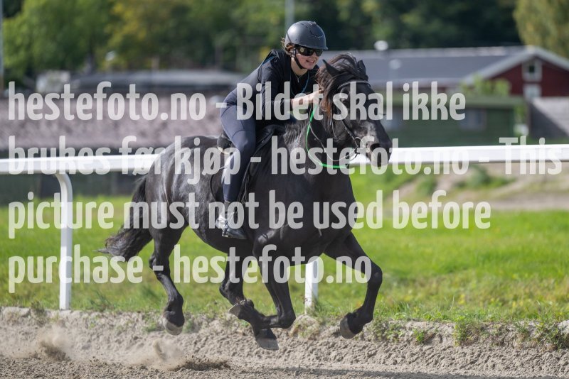 20220917-135249-DSC_4878