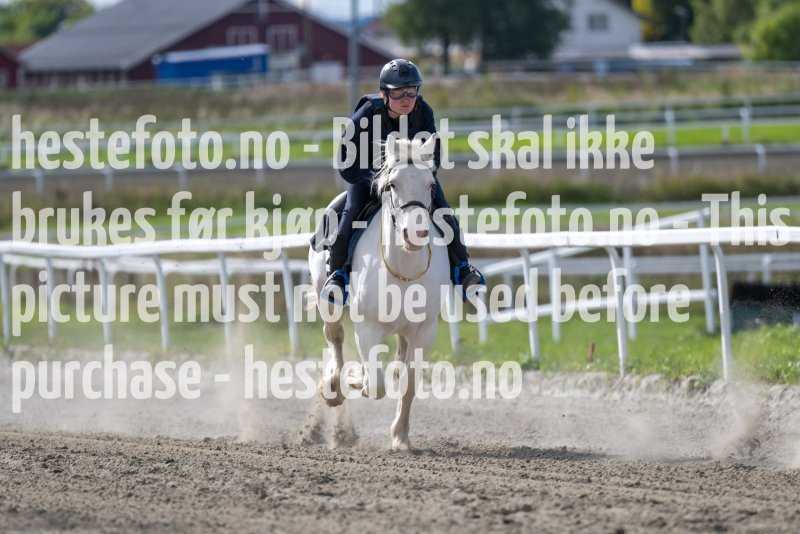 20220917-135630-DSC_4937