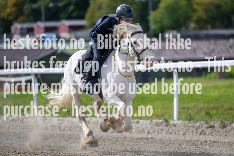 20220917-135633-DSC_4962