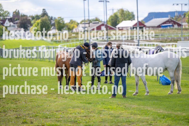 20220917-142432-DSC_5709