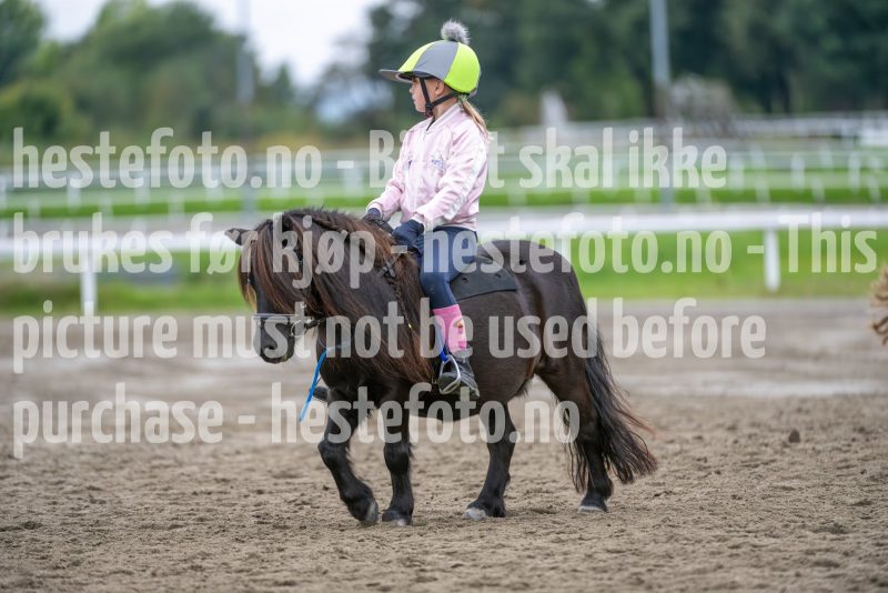 20240921-131912-DSC_4969
