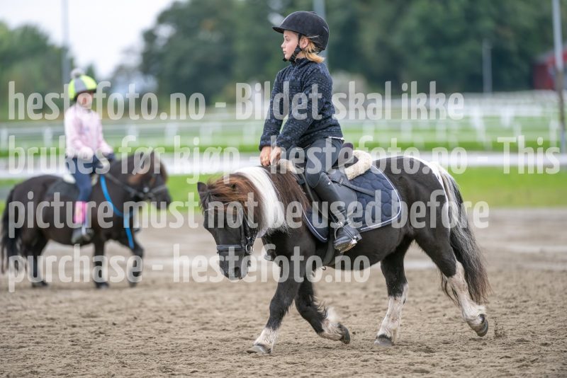 20240921-131932-DSC_5003