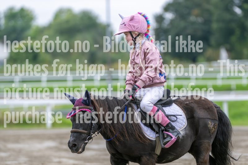 20240921-131950-DSC_5031