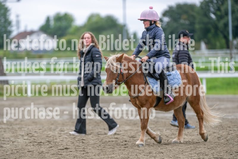 20240921-132144-DSC_5178