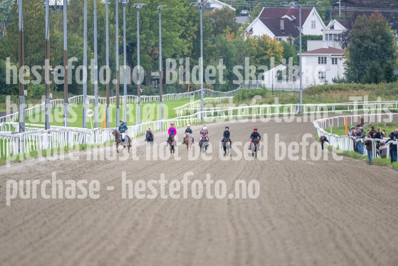 20240921-133303-DSC_5385