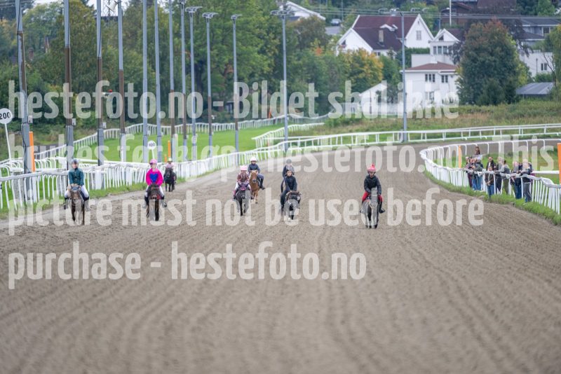 20240921-133328-DSC_5442