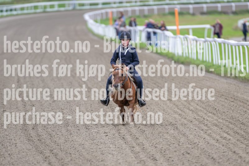 20240921-133413-DSC_5716