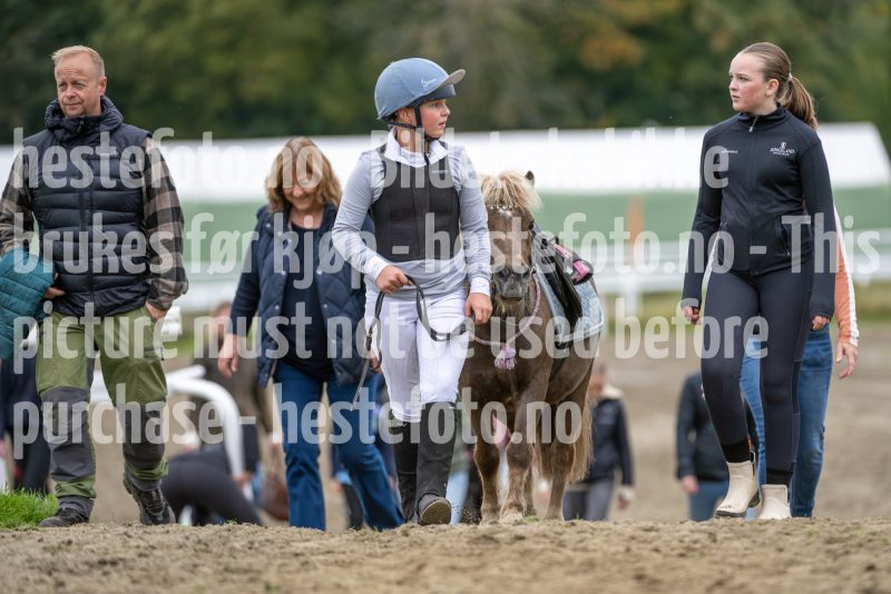 20240921-140637-DSC_6404