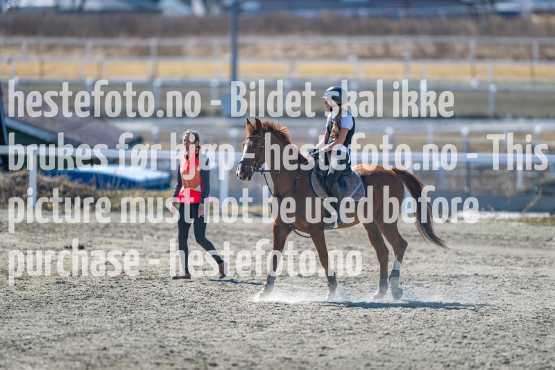 20230422-130909-DSC_3936