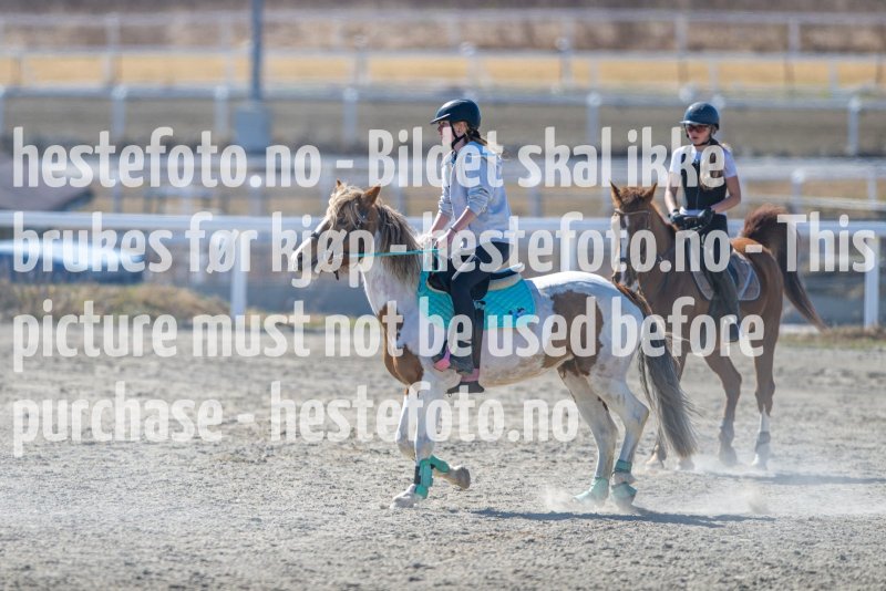 20230422-131135-DSC_4132