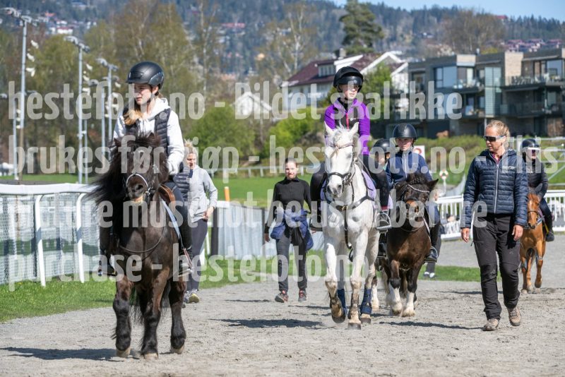 20250426-131658-DSC_0058