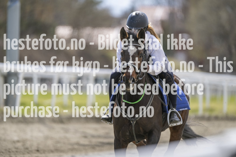 20240427-133318-DSC_8112