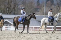 20240427-133031-DSC_7981