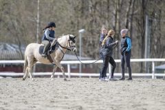 20240427-133124-DSC_8064