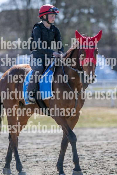 20250412-130331-DSC_0847