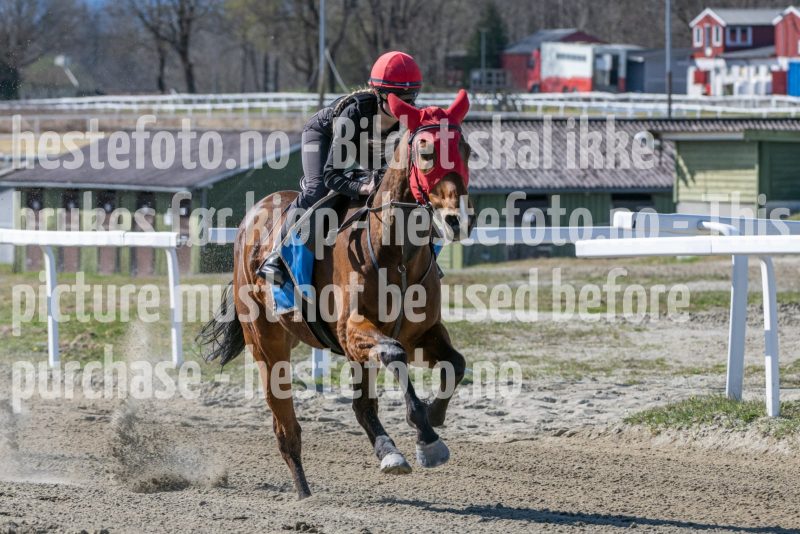 20250412-132321-DSC_1088