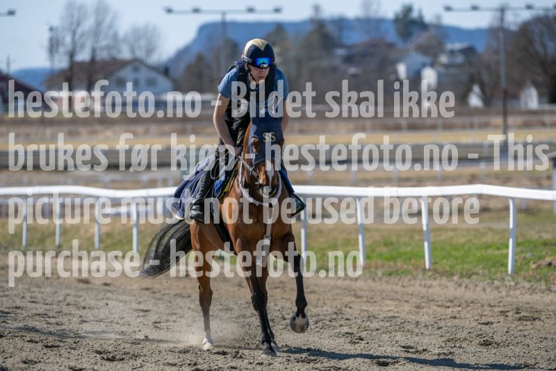 20250412-132602-DSC_1119