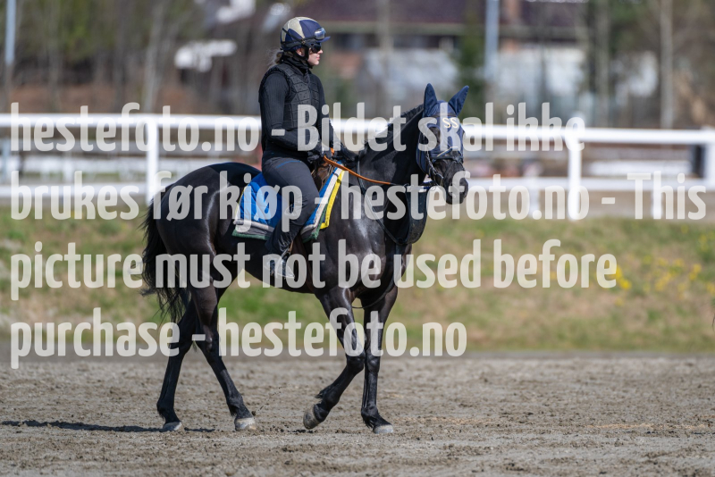 20240413-125915-DSC_3884