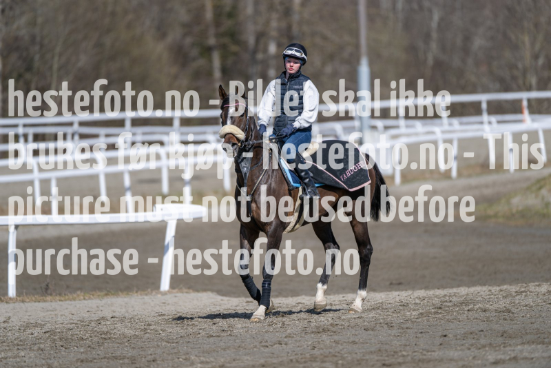 20240413-125935-DSC_3911
