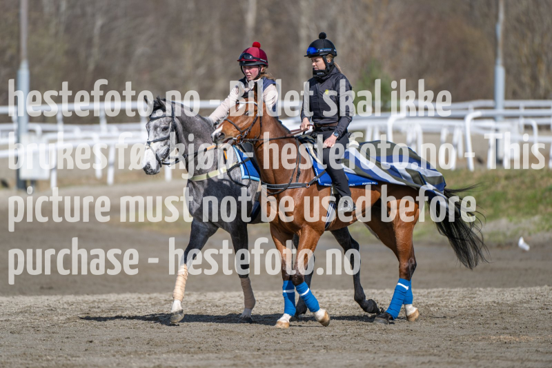 20240413-125940-DSC_3938
