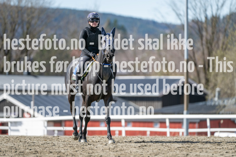 20240413-130115-DSC_4059