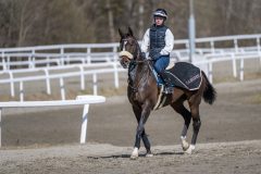 20240413-125935-DSC_3909