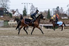 20230416-090717-DSC_8996