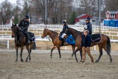 20230416-095352-DSC_0284