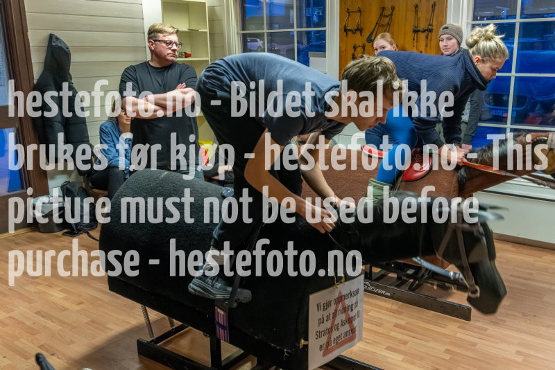 20240306-192610-DSC_4933