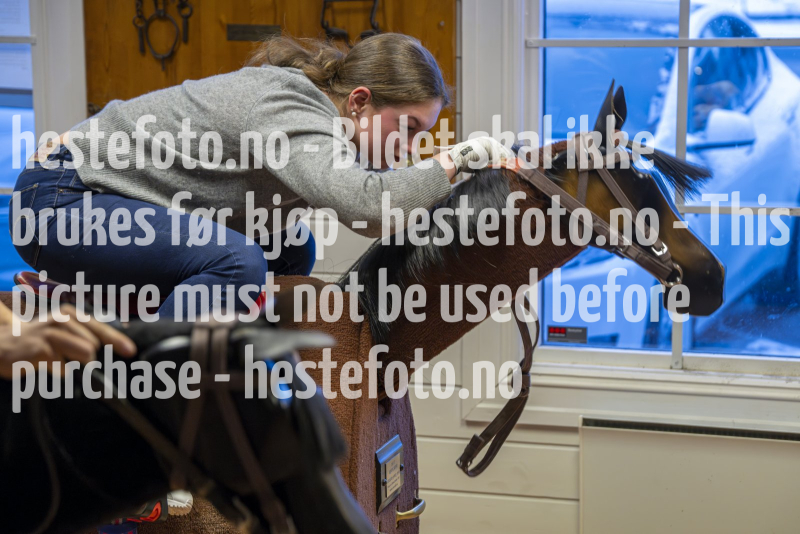 20240404-193034-DSC_3572