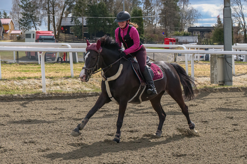 1_ponni-20230430_1.17.6