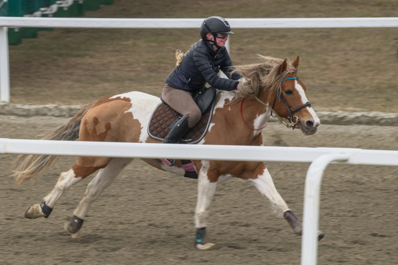 1_ponni-20230430_1.20.4