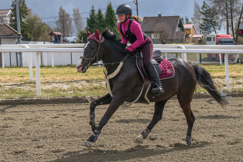 ponni-20230430_1.17.8