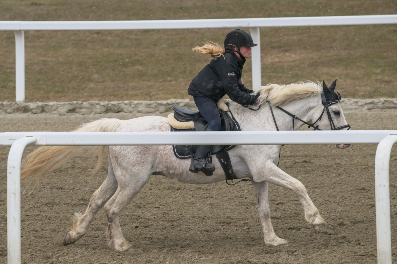 ponni-20230430_1.19.4