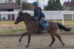 1_ponni-20230430_1.16.2