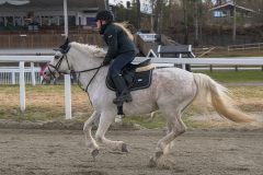 1_ponni-20230430_1.16.5