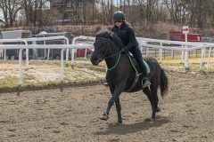 1_ponni-20230430_1.17.4