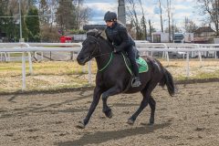 1_ponni-20230430_1.17.5