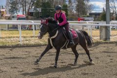 1_ponni-20230430_1.17.6