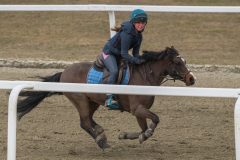 1_ponni-20230430_1.19.2