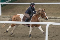 1_ponni-20230430_1.20.4