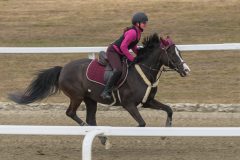 1_ponni-20230430_1.20.5