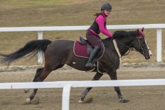 1_ponni-20230430_1.20.7